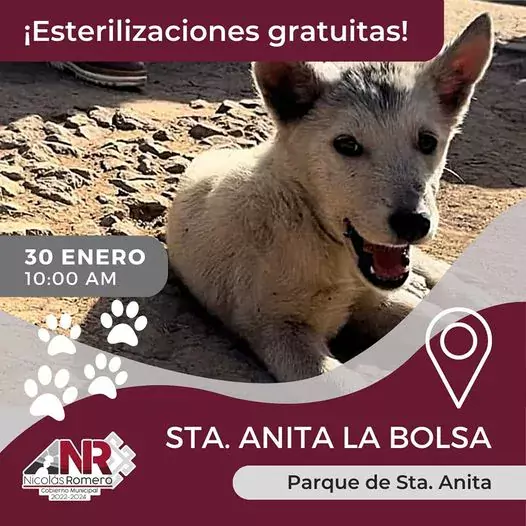 Manana tendremos una nueva Jornada de Esterilizacion Gratuita jpg