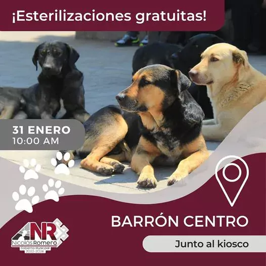 Manana visitaremos el pueblo de Barron con nuestra Jornada de jpg