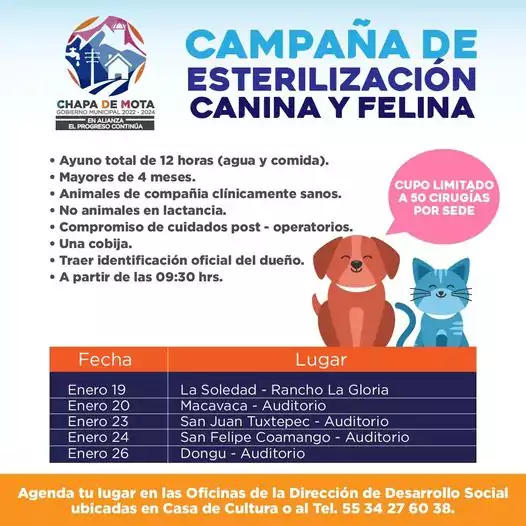 Nuestras mascotas tambien son parte de la familia y cuidarlos jpg