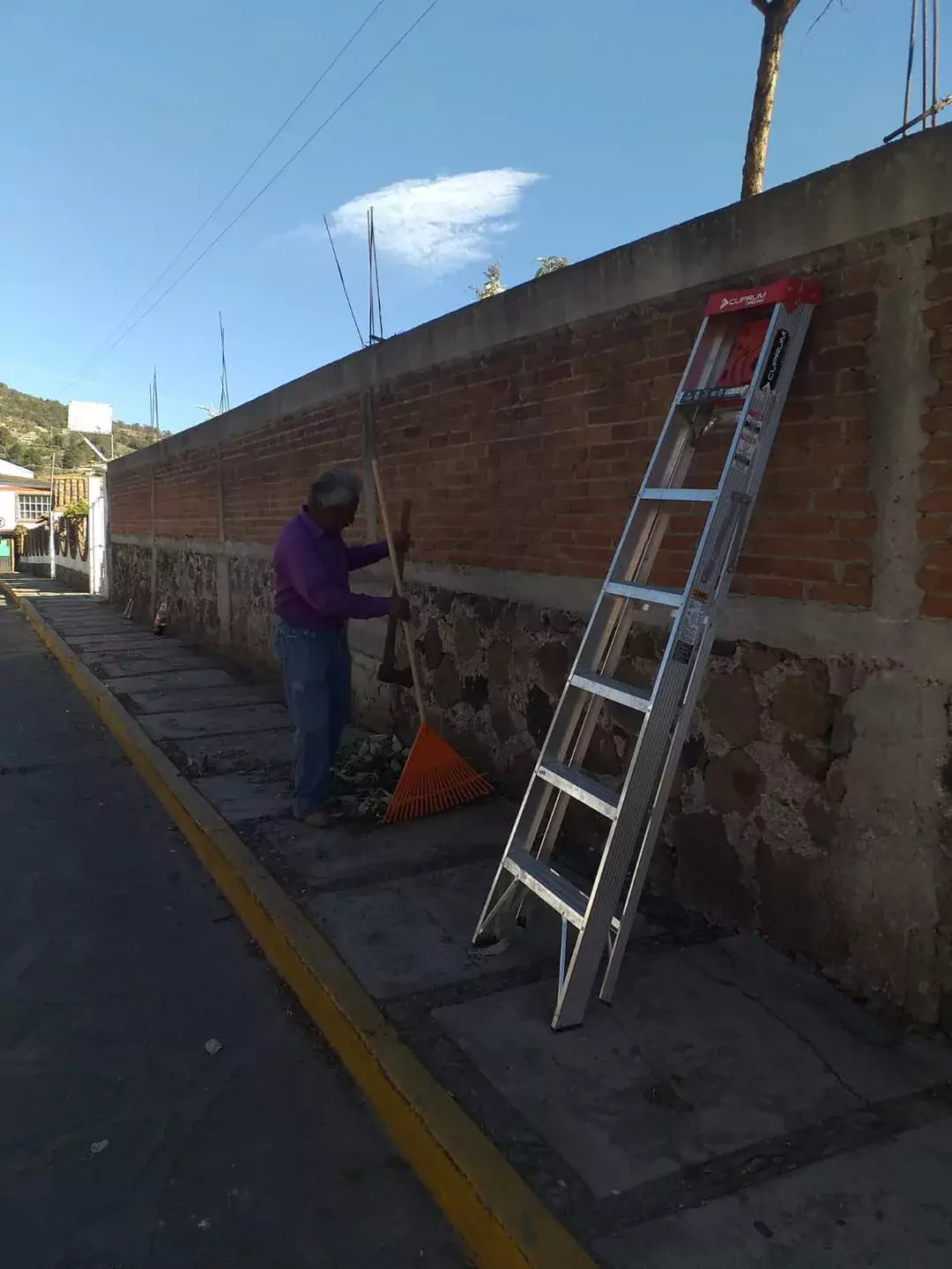 Nuestros companeros del area de Ecologia siguen trabajando para mantener jpg