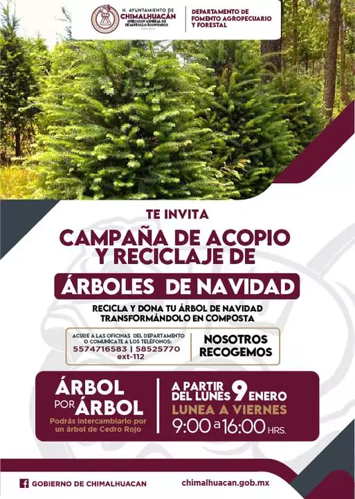 Participa en la campana de acopio y reciclaje de arboles jpg