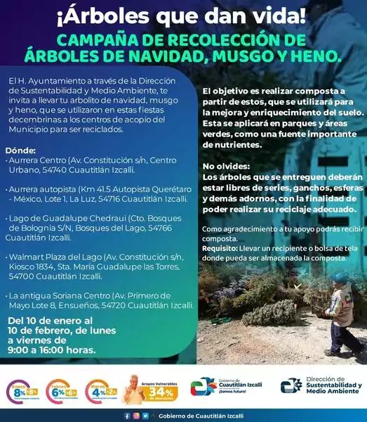 Participa en la campana de recoleccion de Arboles de Navidad jpg