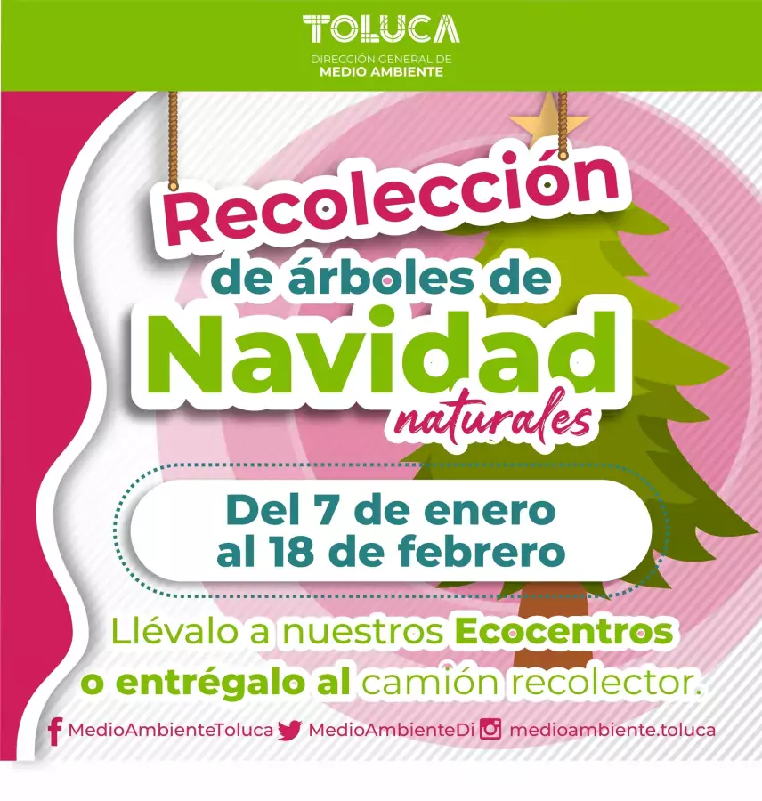 Queremos cuidar el medio ambiente reciclando tu Árbol de Navidad Natural.  Pue - Estado de México