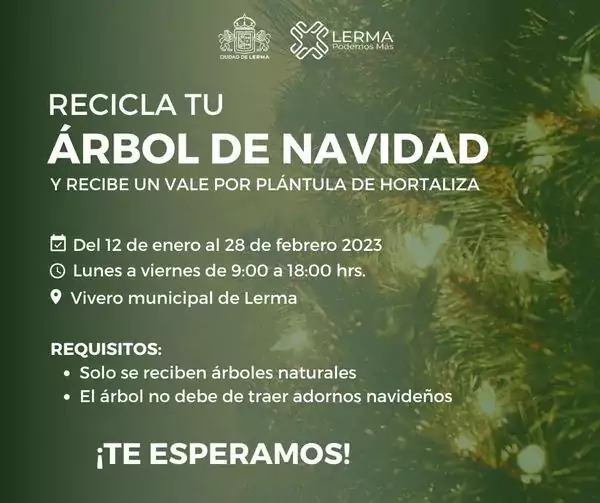 Recicla tu arbol de navidad natural y recibe un vale jpg