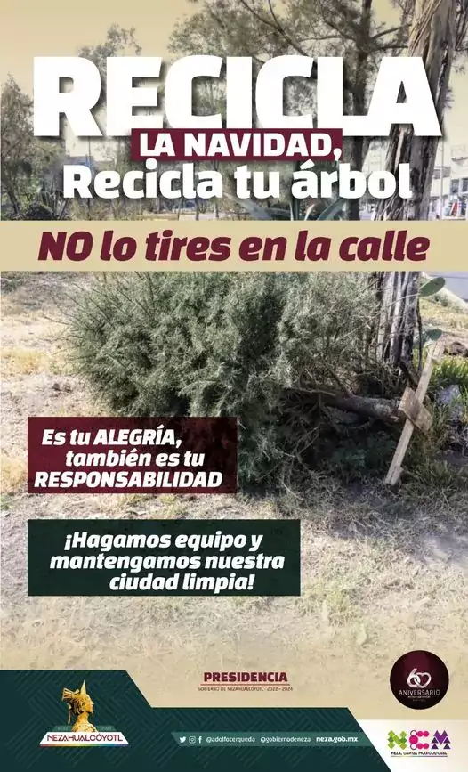 ReciclaLaNavidad Dale una nueva vida a tu arbolito navideno jpg