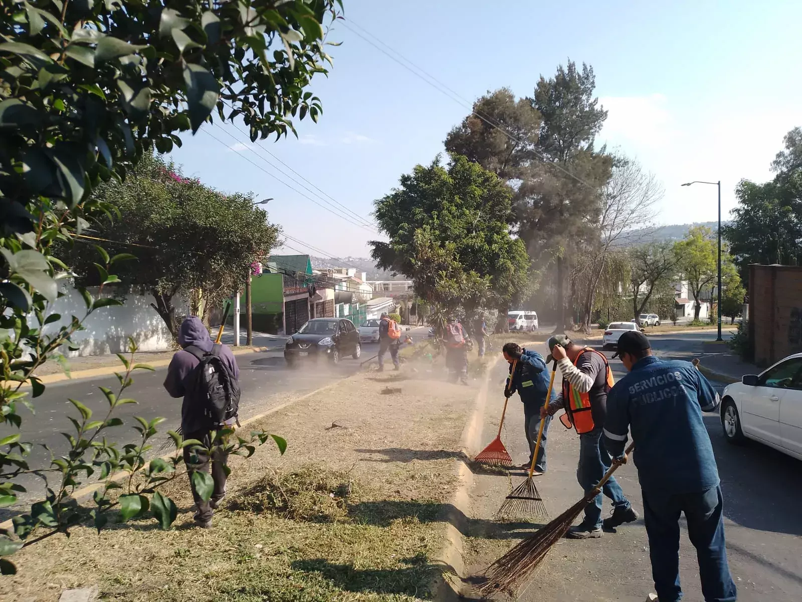 Servicios Publicos laborando en domingo en poda de pasto en jpg