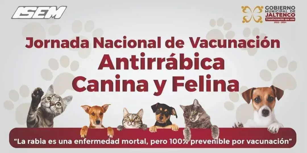 Si tienes perros o gatos mayores a 10 meses y jpg