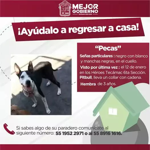 Solicitamos el apoyo de la comunidad Tecamaquense para dar con jpg