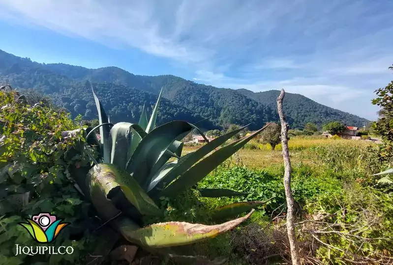 Te compartimos una imagen tomada desde Manzana Primera parte Alta jpg