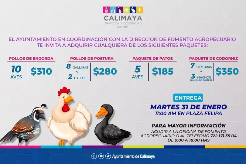 Te invitamos a adquirir alguno de los paquetes de aves jpg