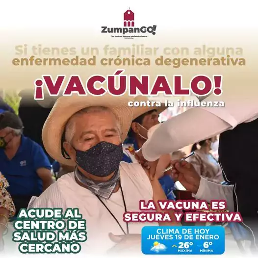 Vacunalo contra la influenza jpg