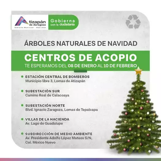 ¡Da vida a otro arbol Lleva tu arbolito de navidad jpg