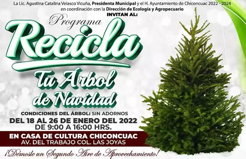 ¡Recicla la navidad recicla tu arbol jpg