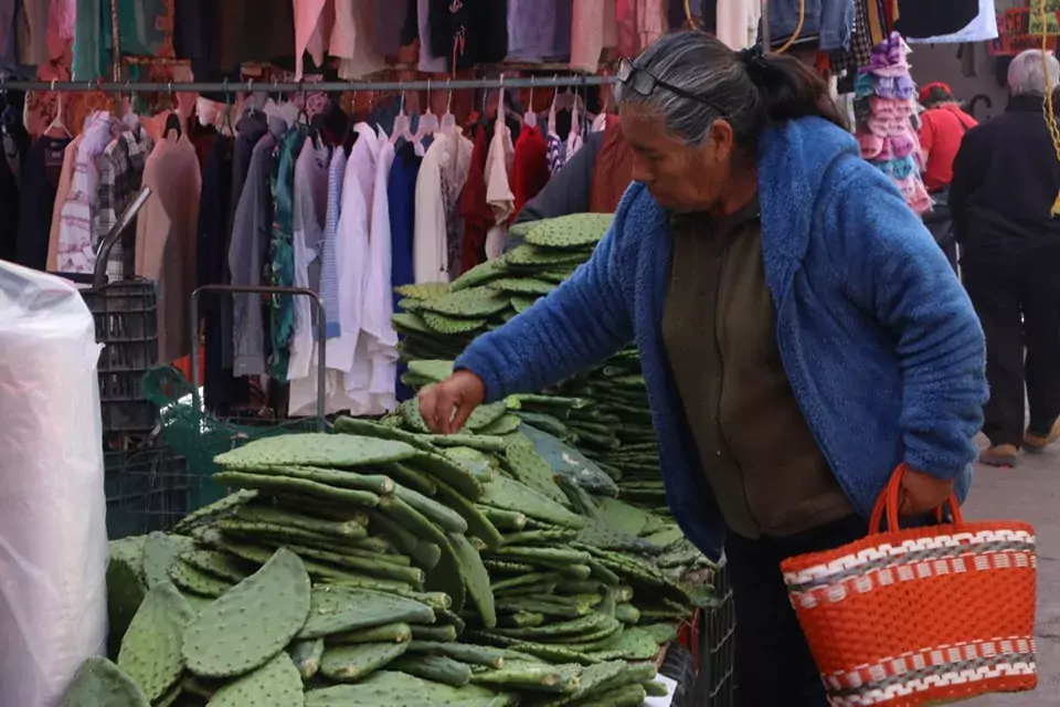 ¿Ya fuiste al tianguis de Zumpango jpg