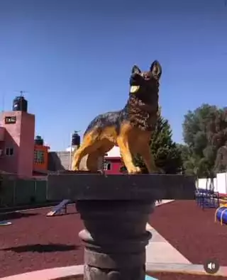 ¿Ya visitaste el parque canino con tu mejor amig@ ¡Conocelo jpg