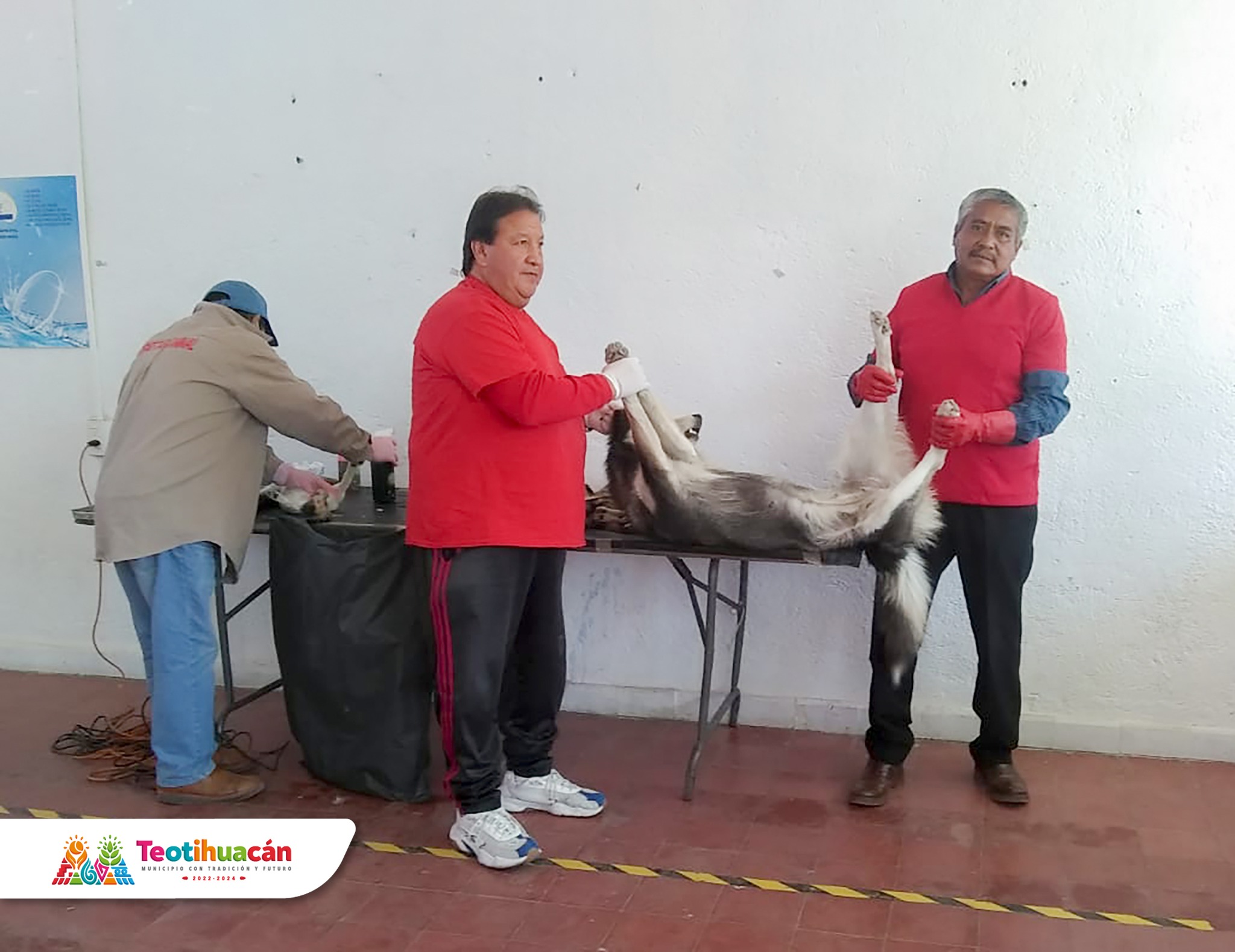 1675254362 455 Finalizo la Jornada de esterilizacion gratuita en la comunidad de