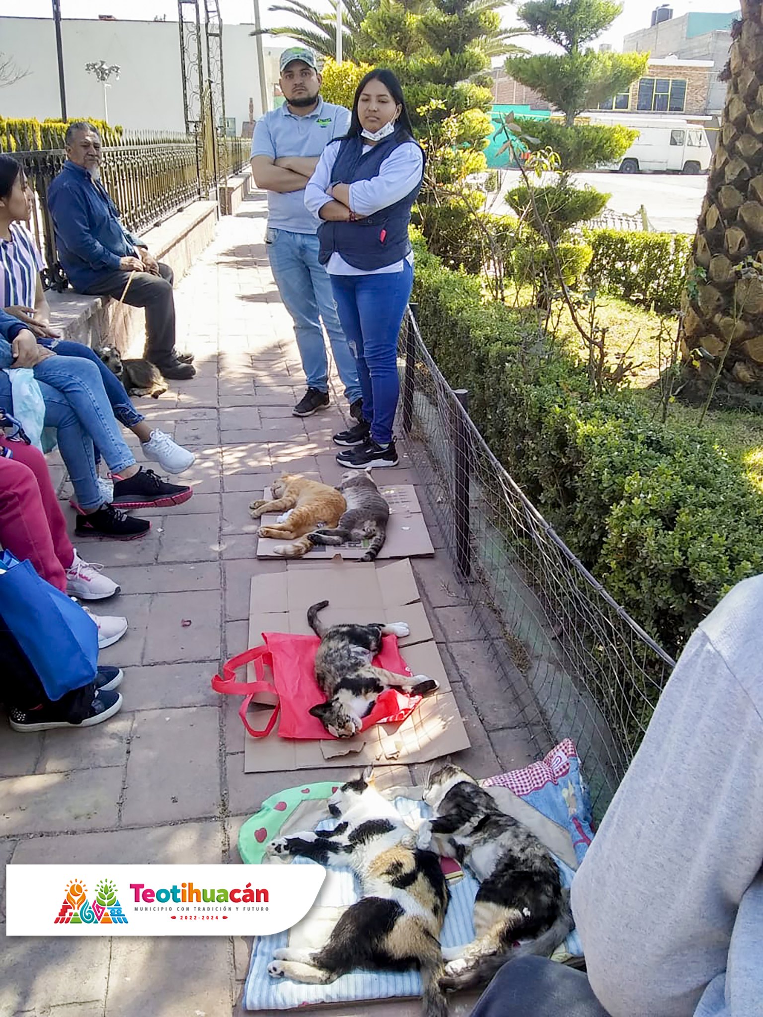 1675254362 499 Finalizo la Jornada de esterilizacion gratuita en la comunidad de