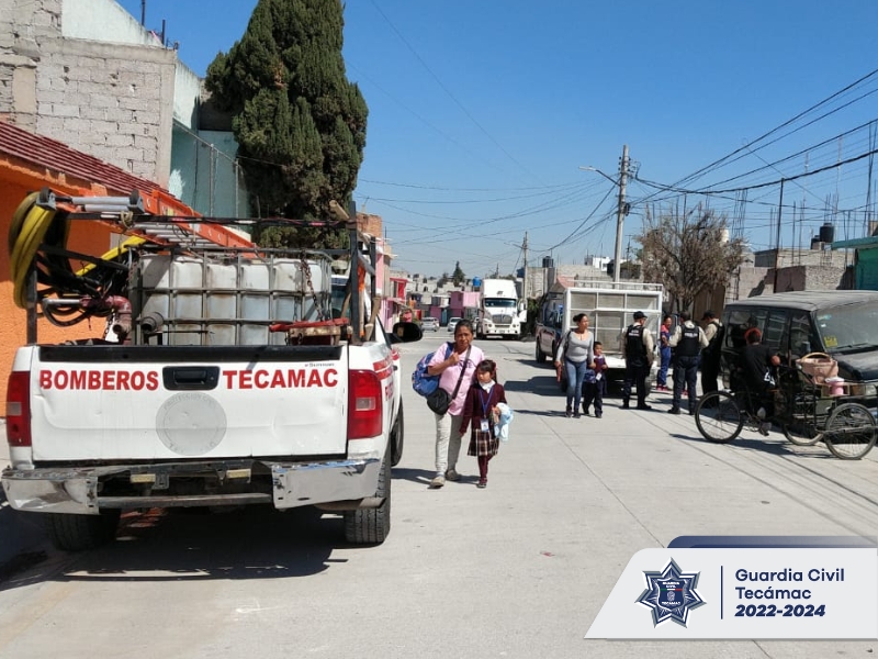 1675262450 894 Los caninos ya se encuentran resguardados en nuestro Centro de