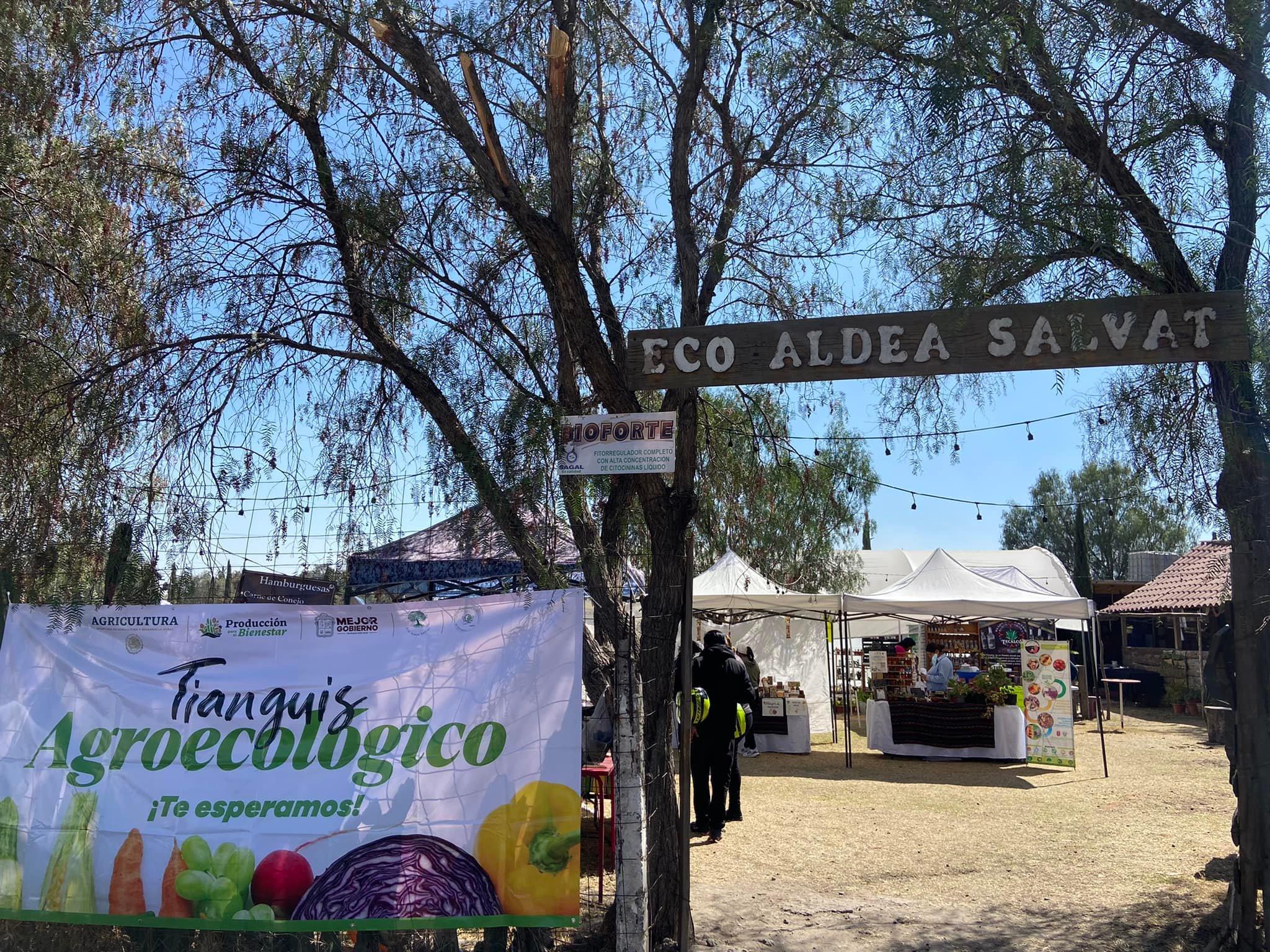 1675372725 Visita nuestro Tianguis Agroecologico donde ademas de diferentes productores y