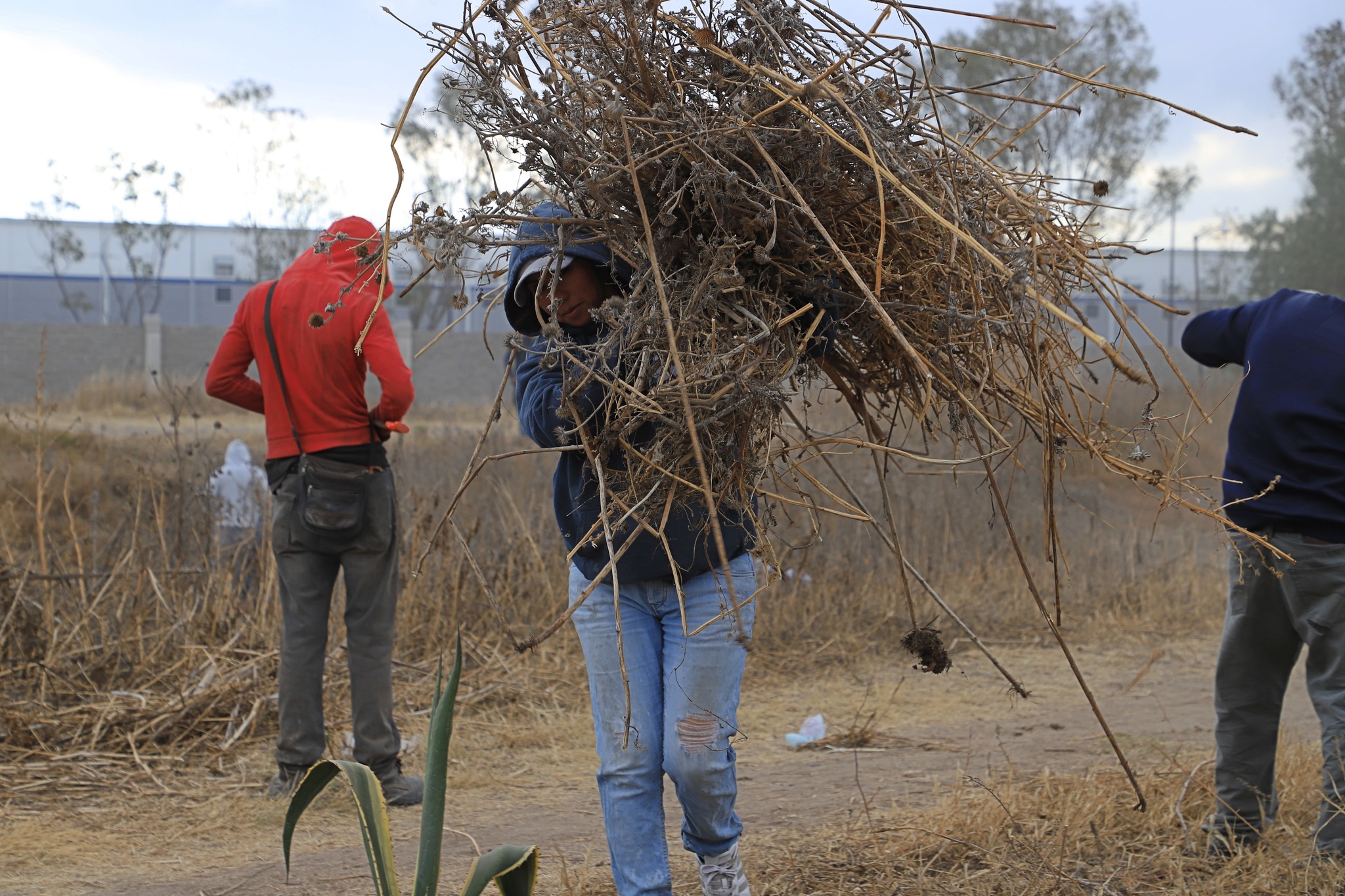 1675461543 299 Con los trabajos de corte de pasto recoleccion de basura