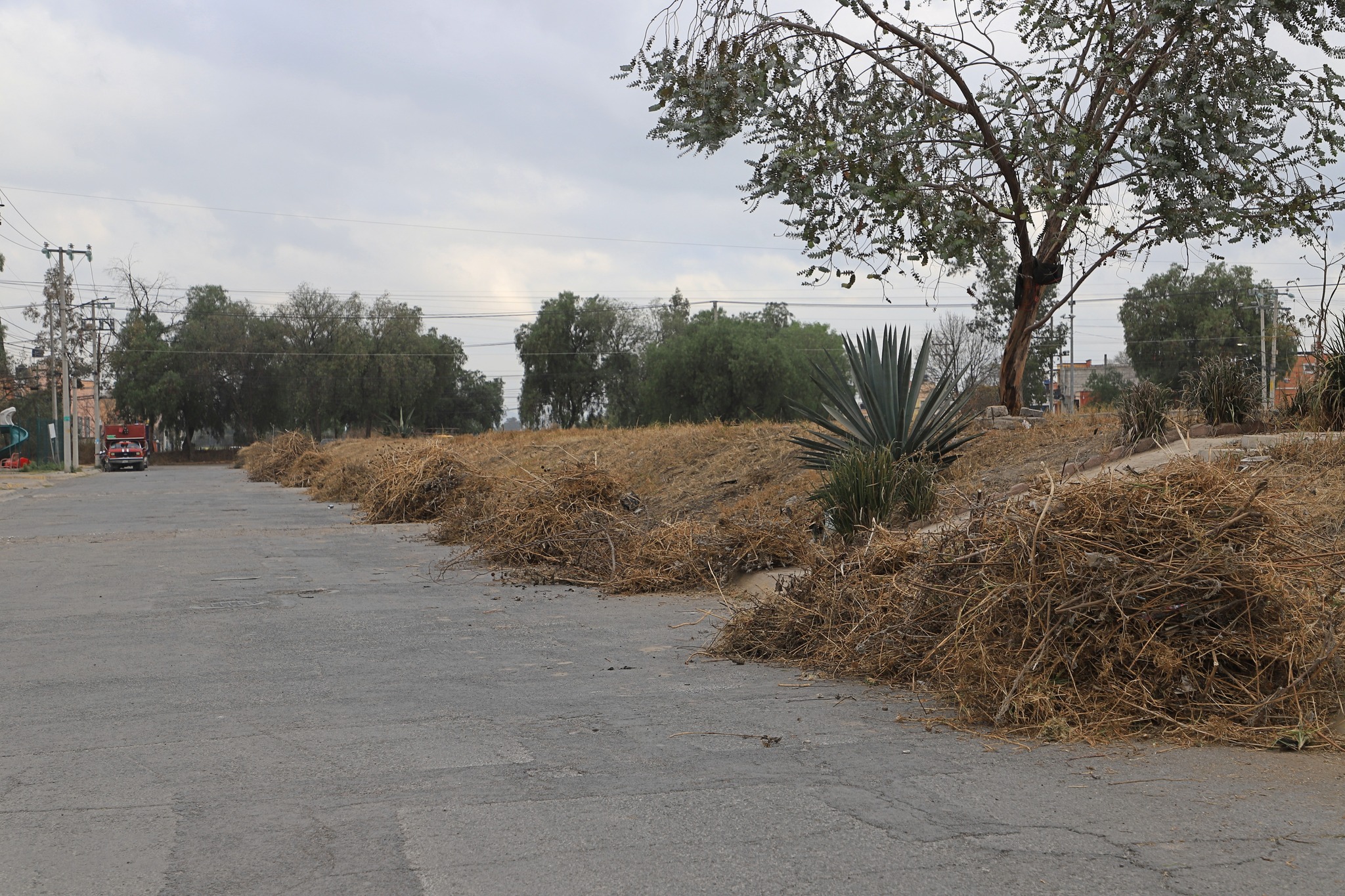 1675461544 515 Con los trabajos de corte de pasto recoleccion de basura