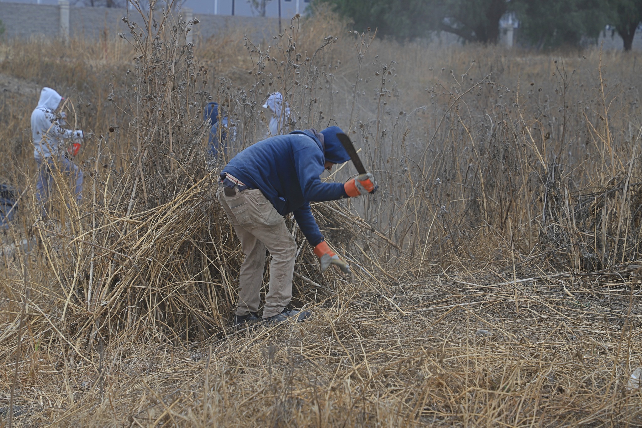 1675461544 987 Con los trabajos de corte de pasto recoleccion de basura