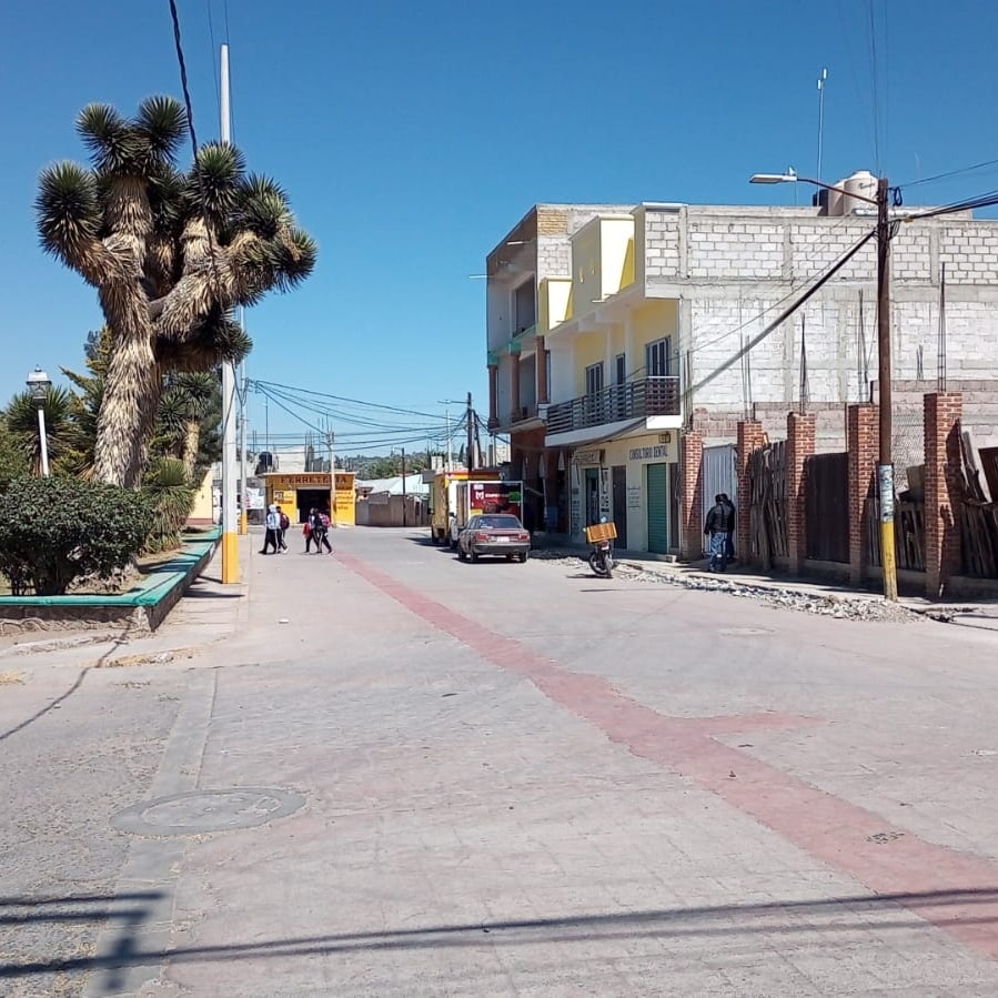 1675723006 597 Dias atras personal de Parques y Jardines pertenecientes a la