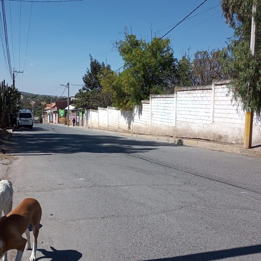 1675723006 763 Dias atras personal de Parques y Jardines pertenecientes a la