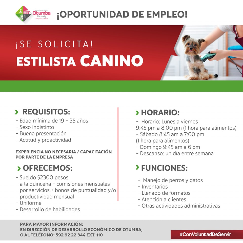 1675898362 625 Oportunidad de Empleo