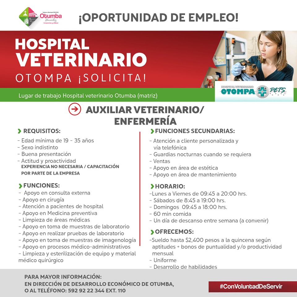 1675898362 831 Oportunidad de Empleo