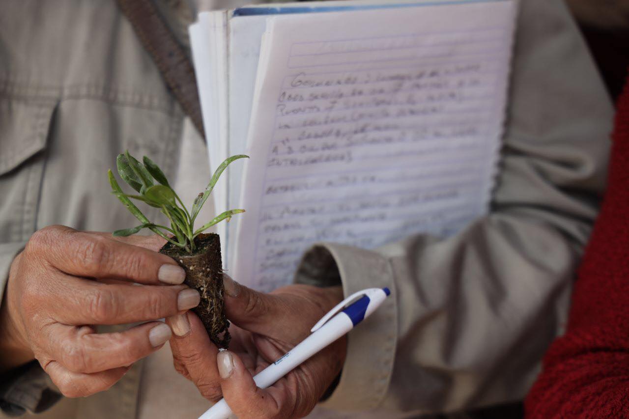 1675972197 944 Capacitacion sobre la produccion de hortalizas