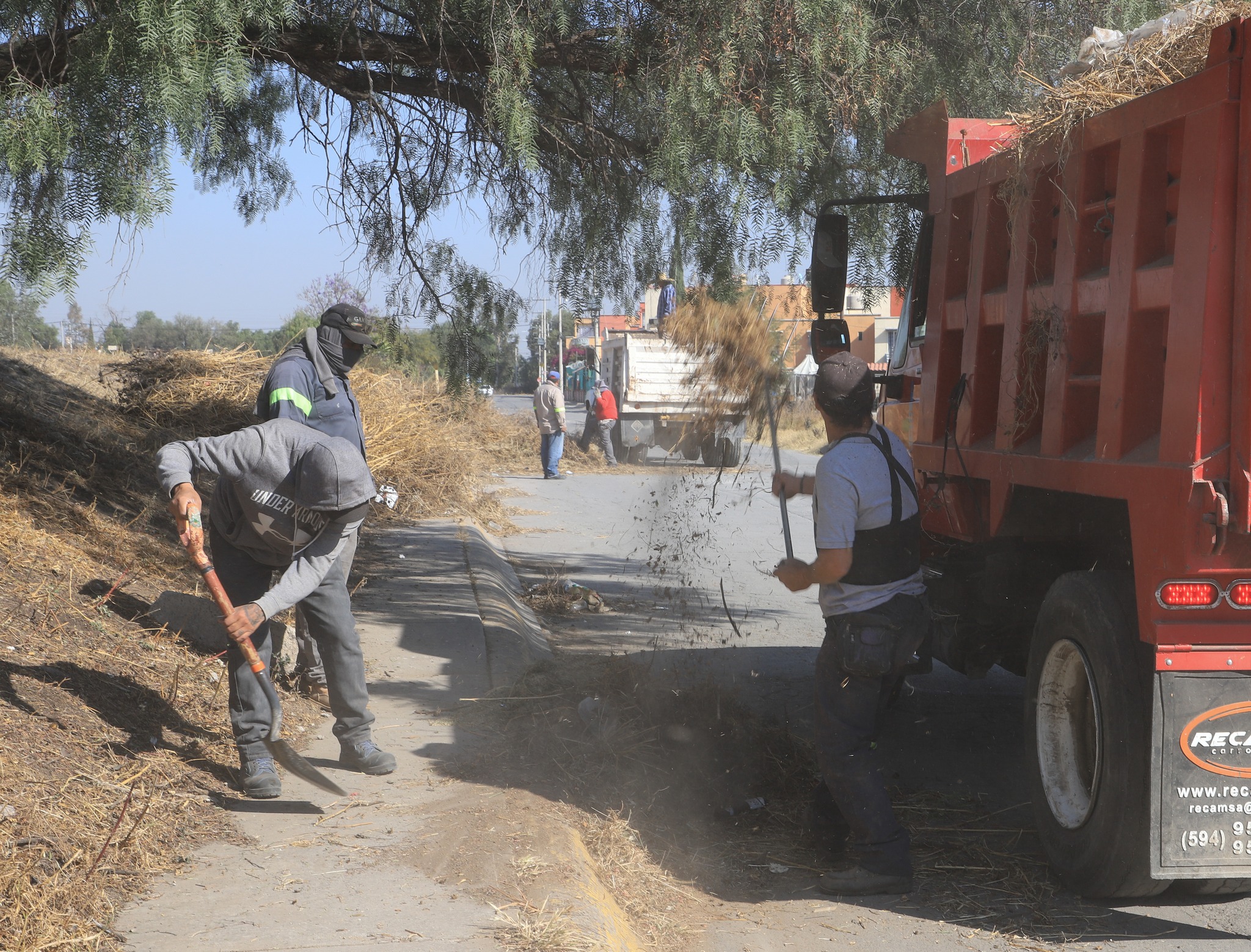 1675972564 331 En la recuperacion de las areas verdes y mejoramiento de