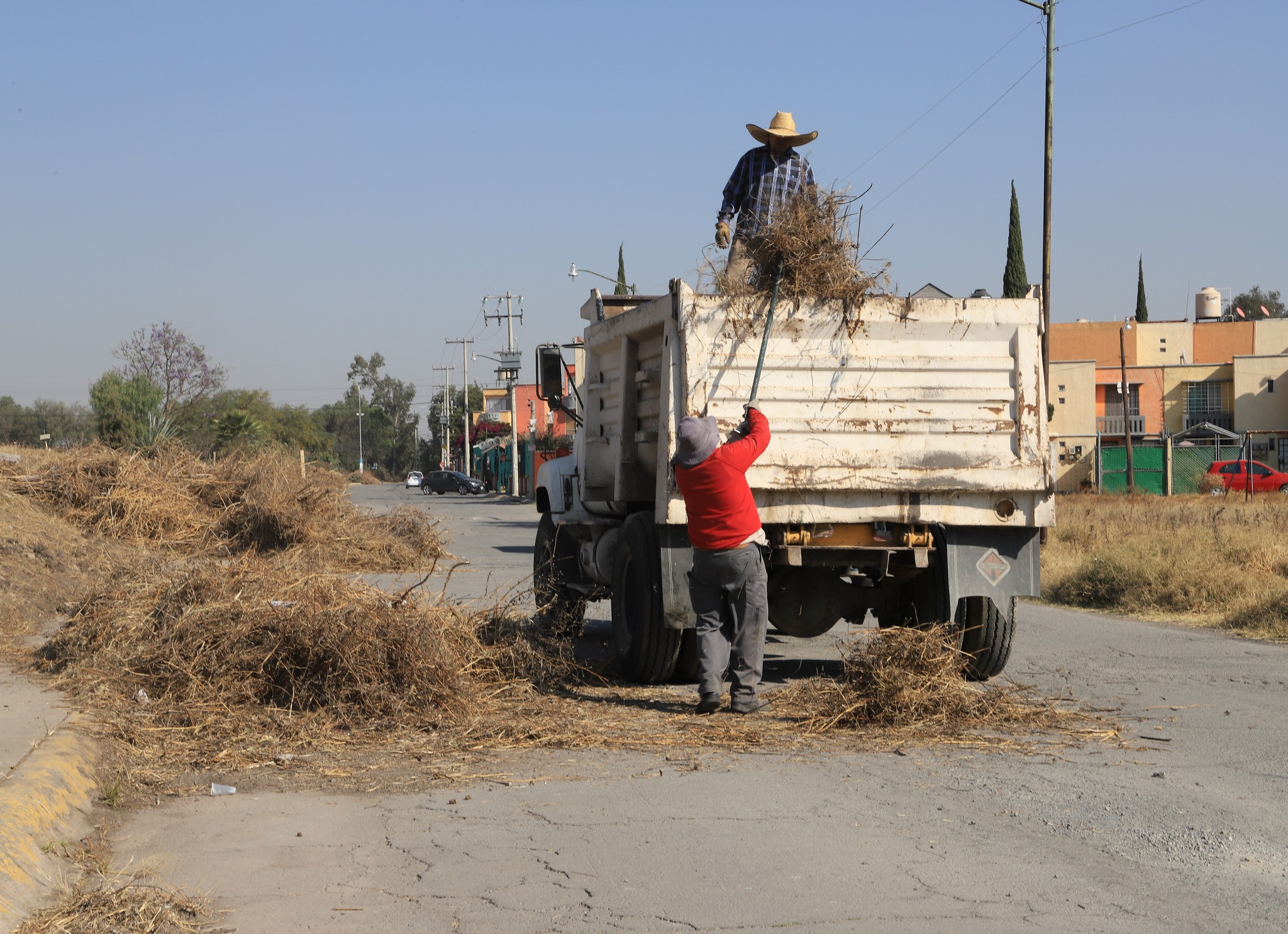 1675972565 321 En la recuperacion de las areas verdes y mejoramiento de