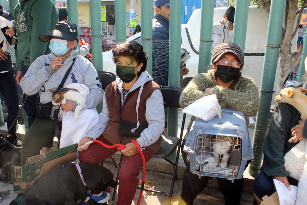 1675986945 446 JORNADA DE ESTERILIZACION CANINA Y FELINA LLEGA A SANTA ELENA