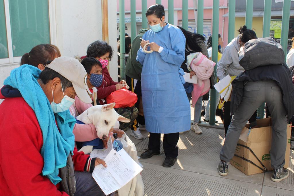 1675986945 721 JORNADA DE ESTERILIZACION CANINA Y FELINA LLEGA A SANTA ELENA