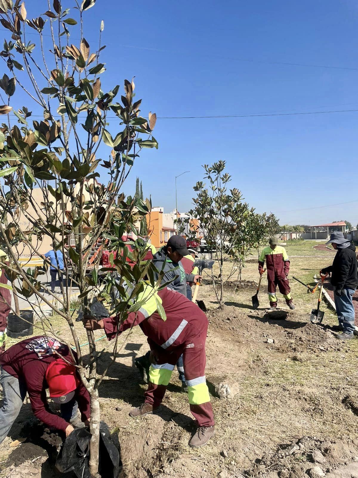 1676137366 991 Ya llevamos 5 jornadas de arborizacion en este 2023