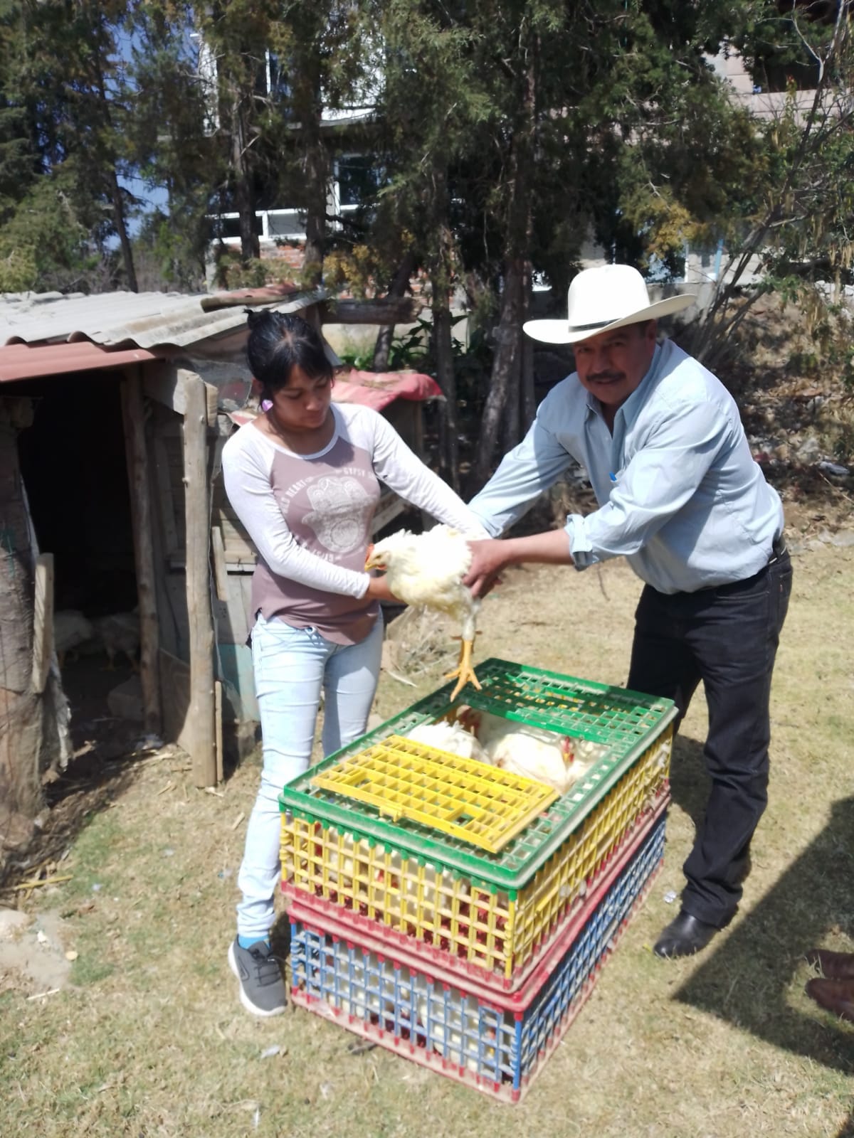 1676158678 31 La direccion de desarrollo agropecuario realizo la entrega de pollos