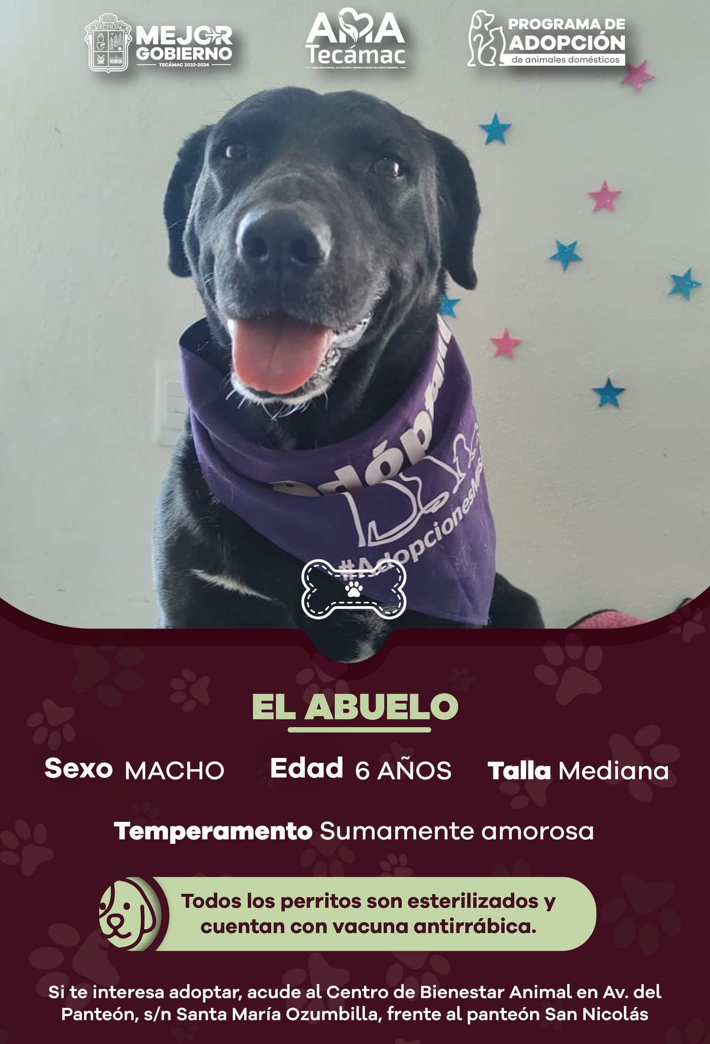 1676326603 483 Estos son los candidatos a AdopcionResponsable de nuestro Centro de