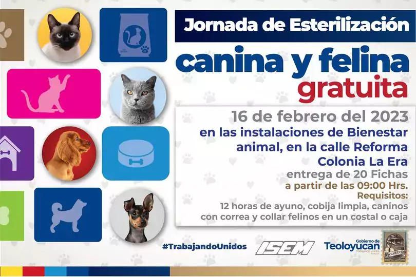 1676567552 Jornada de esterilizacion canina y felina jpg