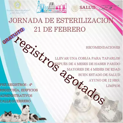 1676575126 CampanaDeEsterilizacion Salud jpg