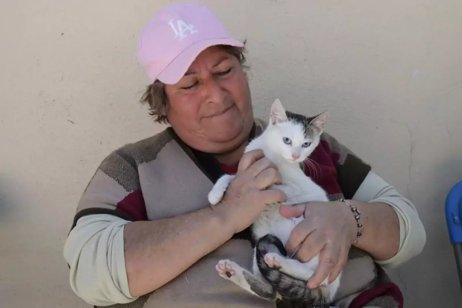 1676576572 Jornada de esterilizacion canina y felina jpg