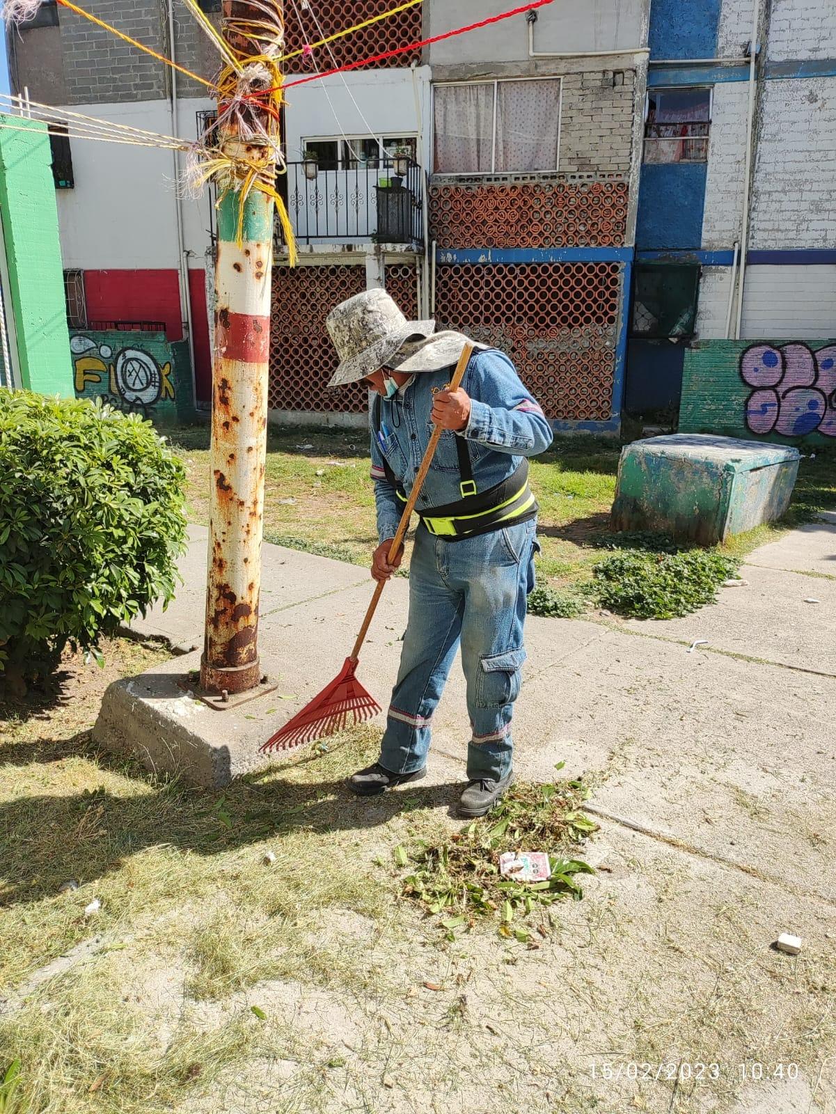 1676583597 681 Se llevan a cabo poda de ramas con exceso de