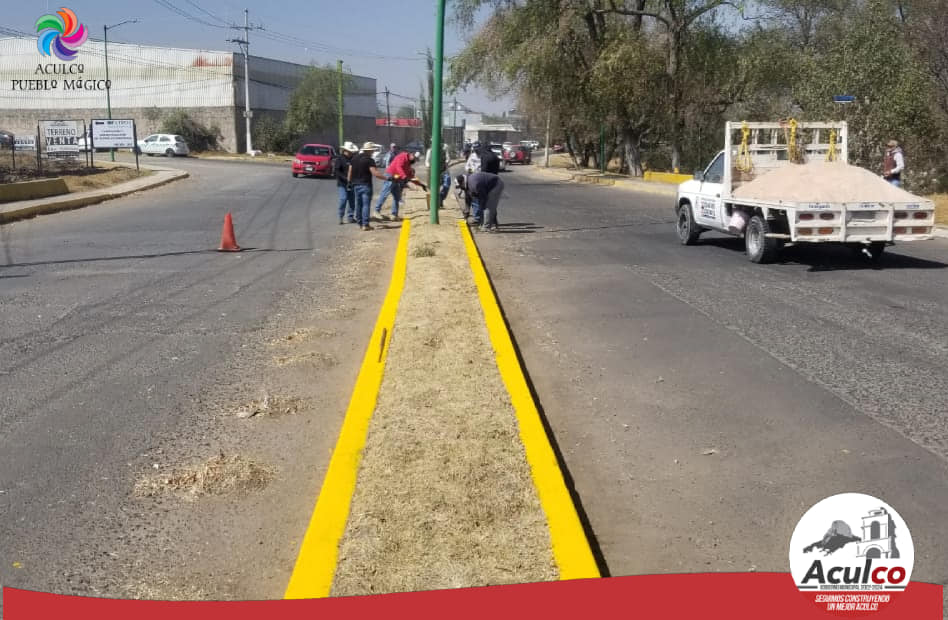 1676658348 Esta manana realizamos la limpia pinta y poda en el