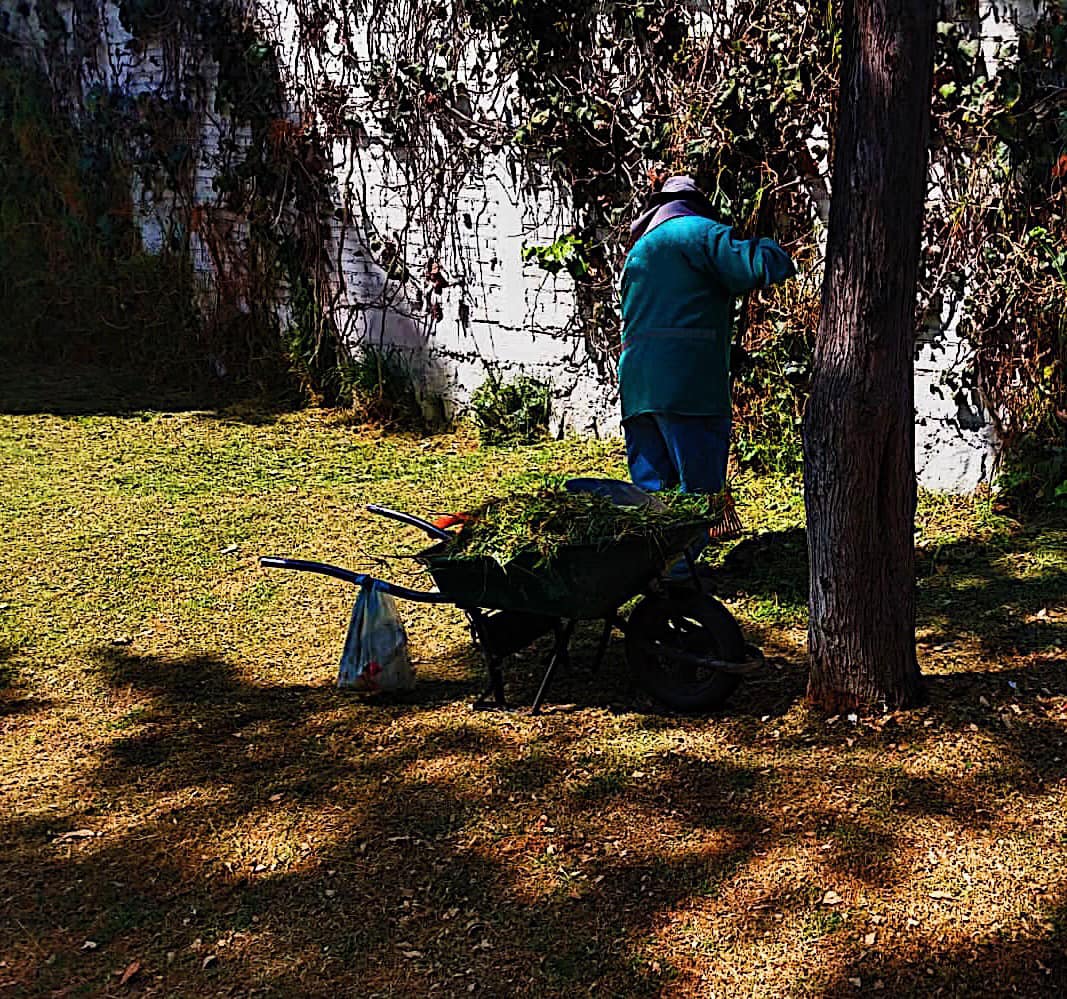 1676817786 Trabajamos en el mantenimiento constante de las areas verdes de