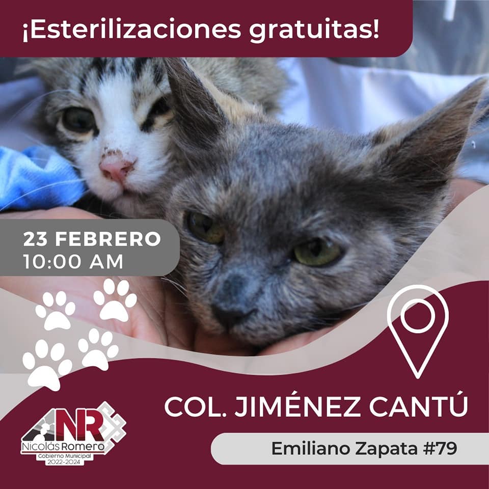 1676899127 37 Te esperamos esta semana en la Jornada de Esterilizacion Gratuita