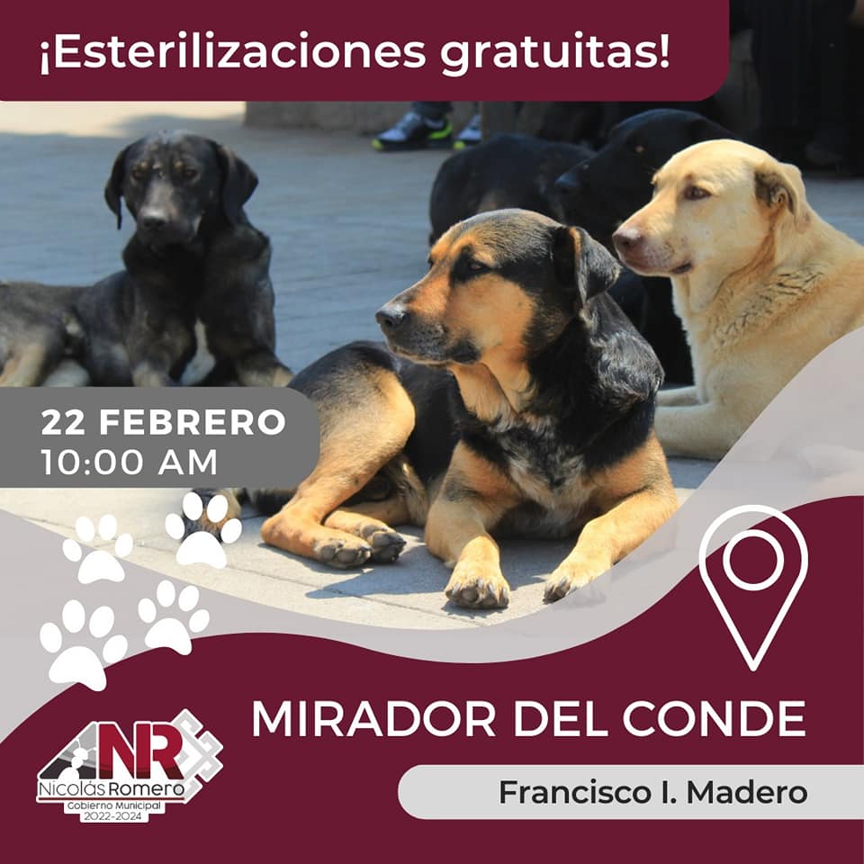 1676899127 567 Te esperamos esta semana en la Jornada de Esterilizacion Gratuita