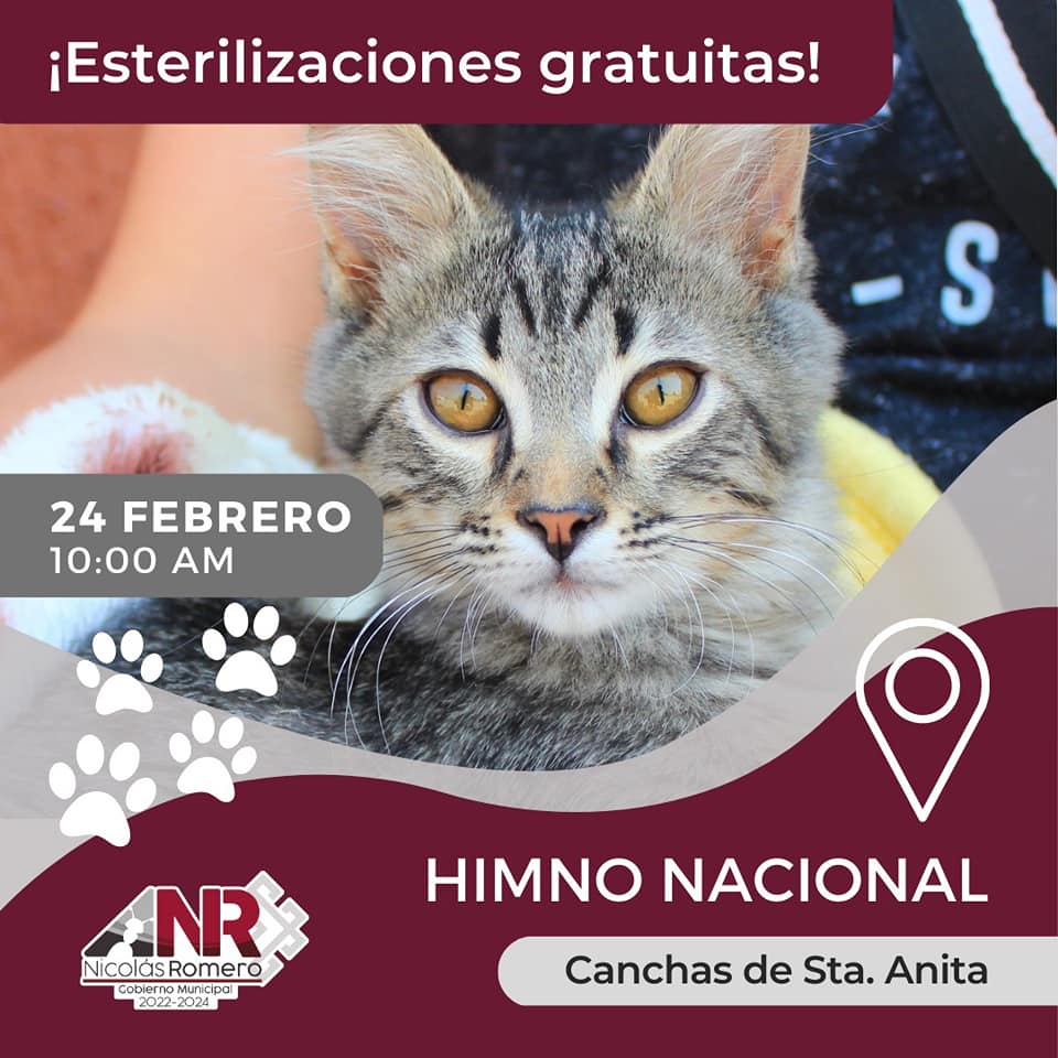 1676899128 778 Te esperamos esta semana en la Jornada de Esterilizacion Gratuita