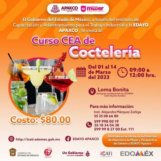 1676916422 CURSO DE COCTELERIA EN LOMA BONITA jpg