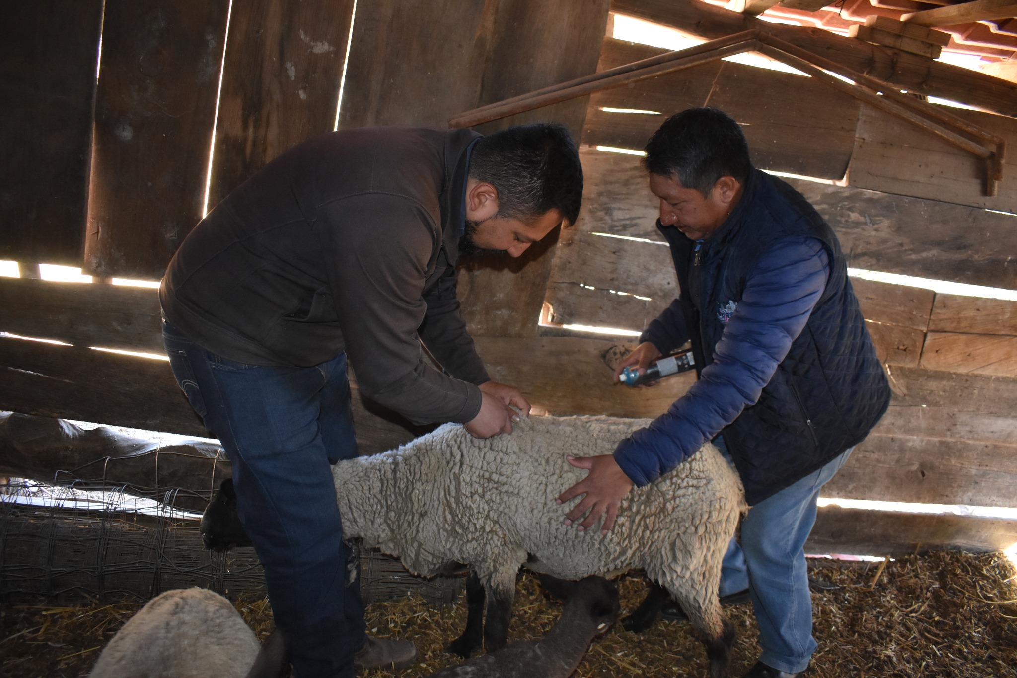 1676999622 73 Seguimos llevando a todo el territorio municipal nuestro programa municipal