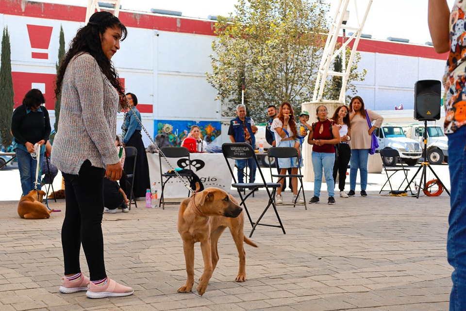 1677000938 123 Imagenes de la Primer Feria Dominical de Adopcion que se